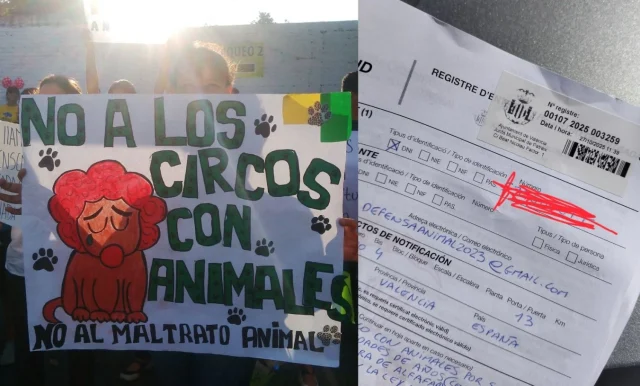 Valencia se moviliza contra el circo con animales de Navidad: "Se usan elementos de castigo para someterlos"