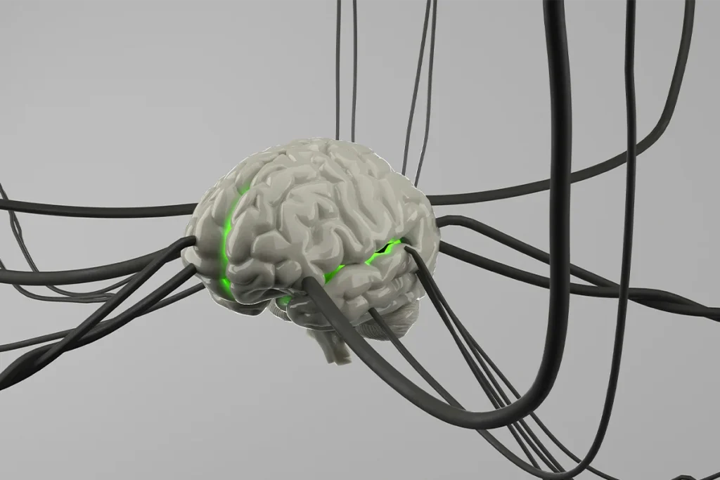 Avance neurocientífico logra convertir cerebros en ordenadores mediante interfaces cerebro-máquina integradas