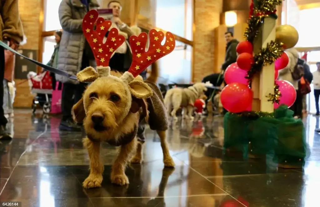 Cuando el ruido se convierte en amenaza real
