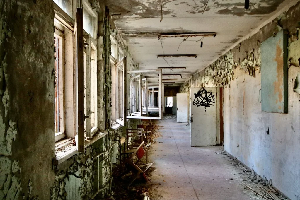 El hongo negro de Chernóbil posee propiedades que suponen un avance revolucionario para la ciencia