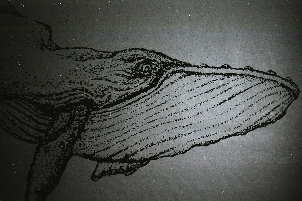 Expedición en el Pacífico descubre una criatura marina totalmente desconocida para la ciencia