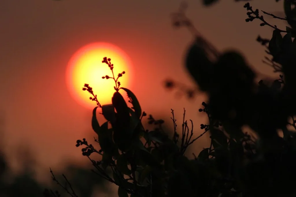 El evento astronómico del siglo llega a España en 2026 y los expertos avisan de la importancia de garantizar la seguridad 1 Expertos alertan sobre la importancia de protección durante el evento astronómico de 2026 en España