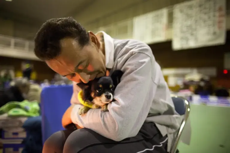 Hasta 190 decibelios en Nochevieja: el ruido legal que puede matar aves y disparar la ansiedad en mascotas