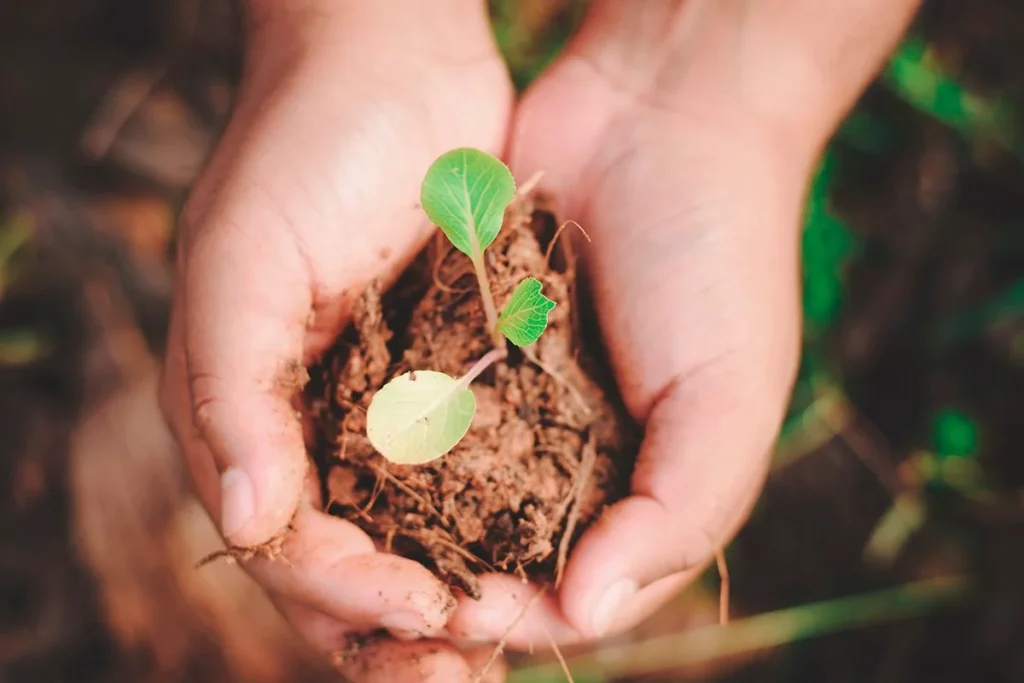 Un estudio revolucionario confirma que la vida pudo haber "llovido del cielo": Los científicos explican cómo 1 Investigadores explican el origen de la vida a través de materiales biológicos caídos del espacio