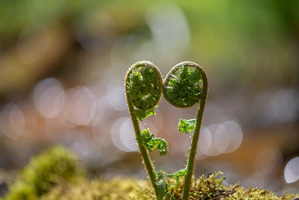 Un estudio revolucionario confirma que la vida pudo haber "llovido del cielo": Los científicos explican cómo 4 La hipótesis de que la vida llovió del cielo gana respaldo con nuevas evidencias científicas
