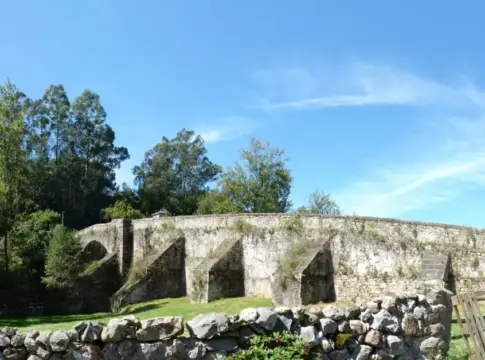Olvida el Retiro: el bosque mágico de castaños a 50 min de Madrid con la mejor vista del mundo Olvida el Retiro: el bosque mágico de castaños a 50 min de Madrid con la mejor vista del mundo