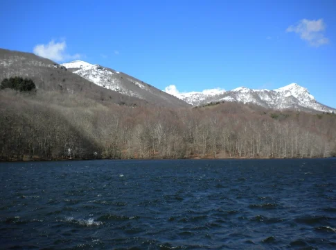 Un bosque que parece Canadá sin salir de Cataluña: lago rodeado de abetos, niebla baja y paseos fáciles para ir en familia Un bosque que parece Canadá sin salir de Cataluña: lago rodeado de abetos, niebla baja y paseos fáciles para ir en familia