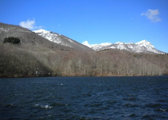 Un bosque que parece Canadá sin salir de Cataluña: lago rodeado de abetos, niebla baja y paseos fáciles para ir en familia