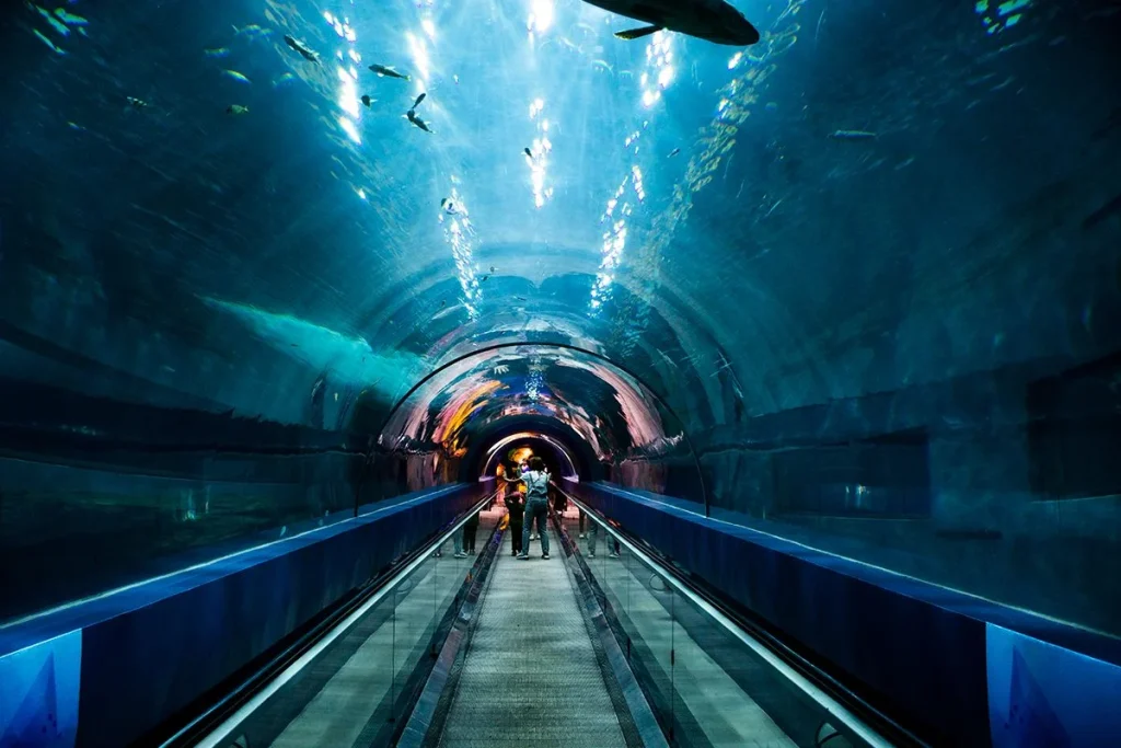 Ingeniería al límite: perforadoras gigantes, robots y turnos sin pausa para construir la megainfraestructura submarina del siglo XXI 2 Obras extremas bajo el mar_ la megainfraestructura submarina del siglo XXI exige ingeniería al límite