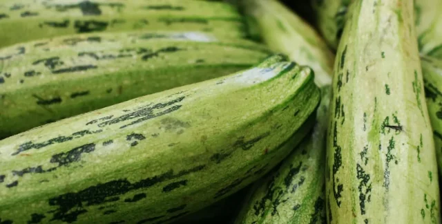 Rollitos de calabacín y ricota: la receta que arrasa en TikTok sin horno, lista en 20 minutos