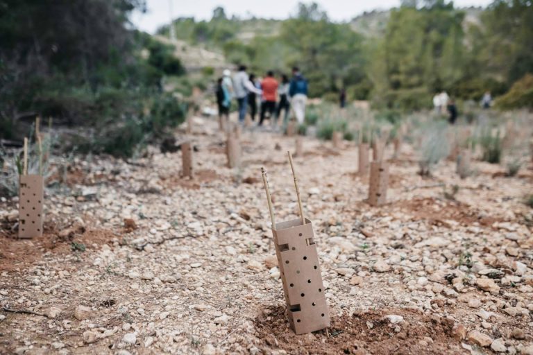 Bosquia actúa en Pedralba para restaurar zonas degradadas del Turia