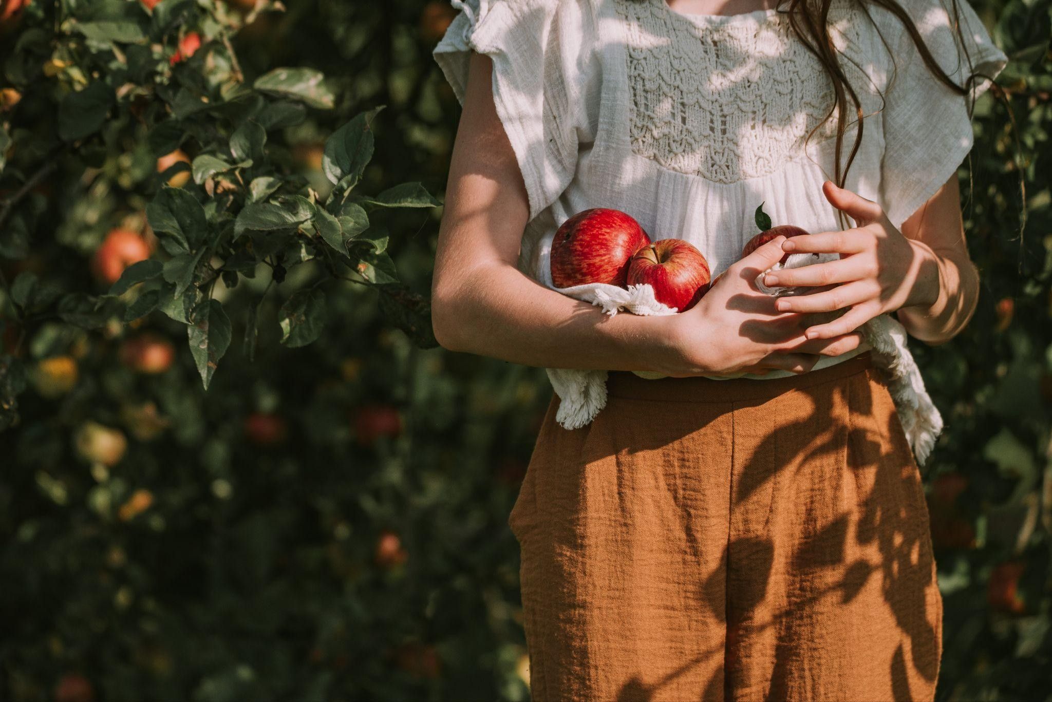 Mak Food Company cierra 2025 con un crecimiento sólido, expansión internacional y estabilidad 1 makfood