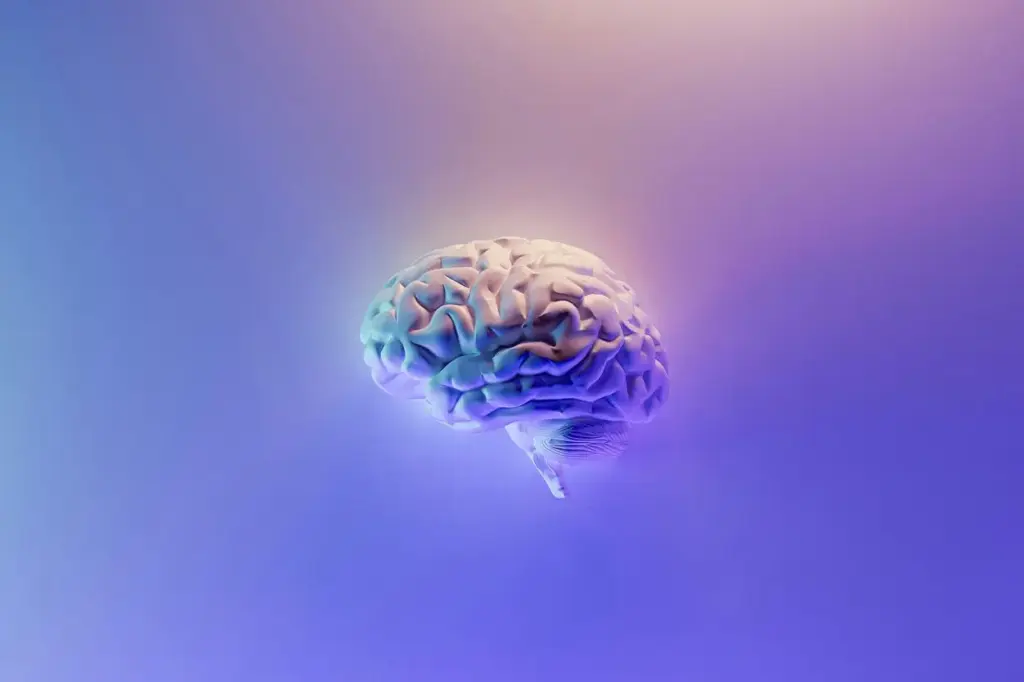 Científicos crean el primer cerebro sintético artificial con capacidad de pensamiento y aprendizaje
