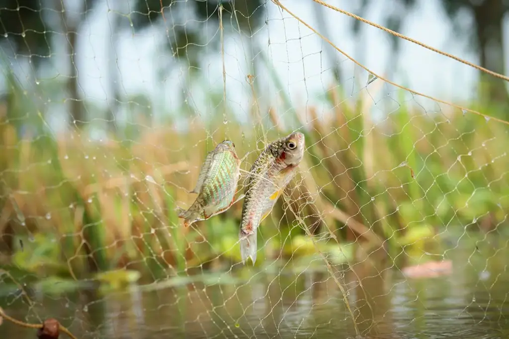 Fenómenos naturales tan impresionantes que parecen sacados del cine de ciencia ficción