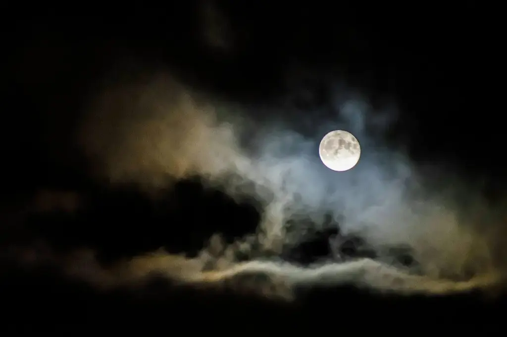 Las lluvias de estrellas y avistamientos del año recogidos en el calendario astronómico 2026 imprescindible