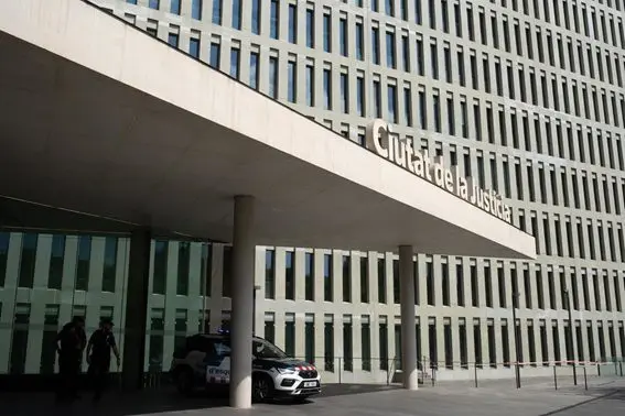 Los tribunales y el límite de la familia: quién decide al final