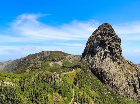 Donde los árboles lloran agua: caminar por esta selva de niebla es volver a la época de los dinosaurios Donde los árboles lloran agua: caminar por esta selva de niebla es volver a la época de los dinosaurios