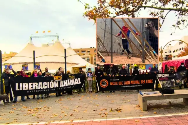 Indignación en Valencia con 'el peor circo del mundo': sufrimiento animal, llantos y público que abandona el espectáculo