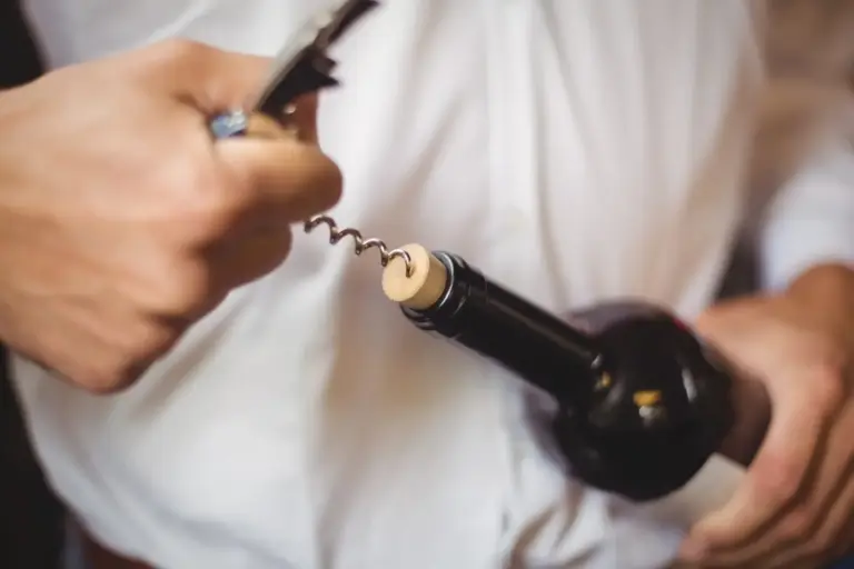 Festival del Vino Somontano 2026: el plan de cuatro días con bebida, alta cocina y música que no te puedes perder