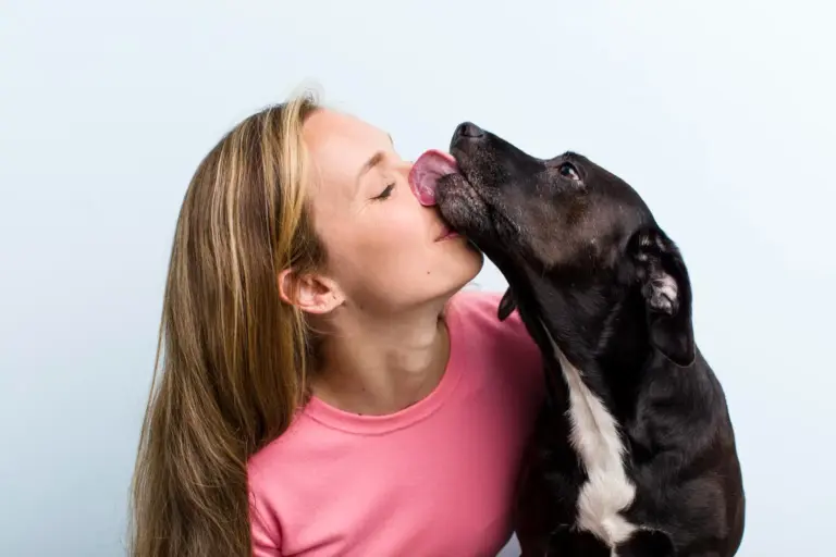 ¿Y si tu perro te eligió a ti? La feria que pone a prueba quién manda en la adopción