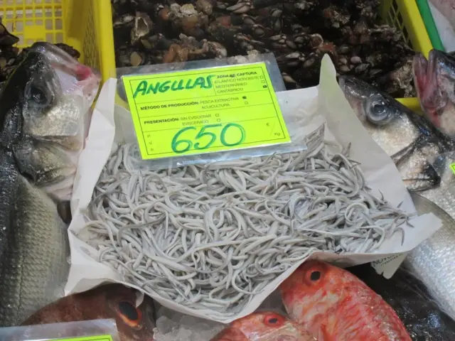 Al Gobierno y la UE les preocupa lo que está pasando con la angula: un kilo a 13.000 euros y una especie sentenciada