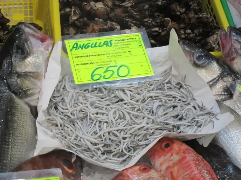 Al Gobierno y a la UE les preocupa lo que está pasando con la angula: un kilo a 13.000 euros y una especie sentenciada