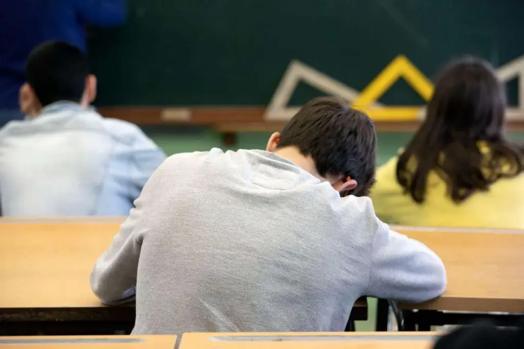 Solo 1 de cada 10 alumnos españoles son brillantes en Matemáticas, Lectura o Ciencias 2 Alumno durante una clase de un profesor en Cataluña