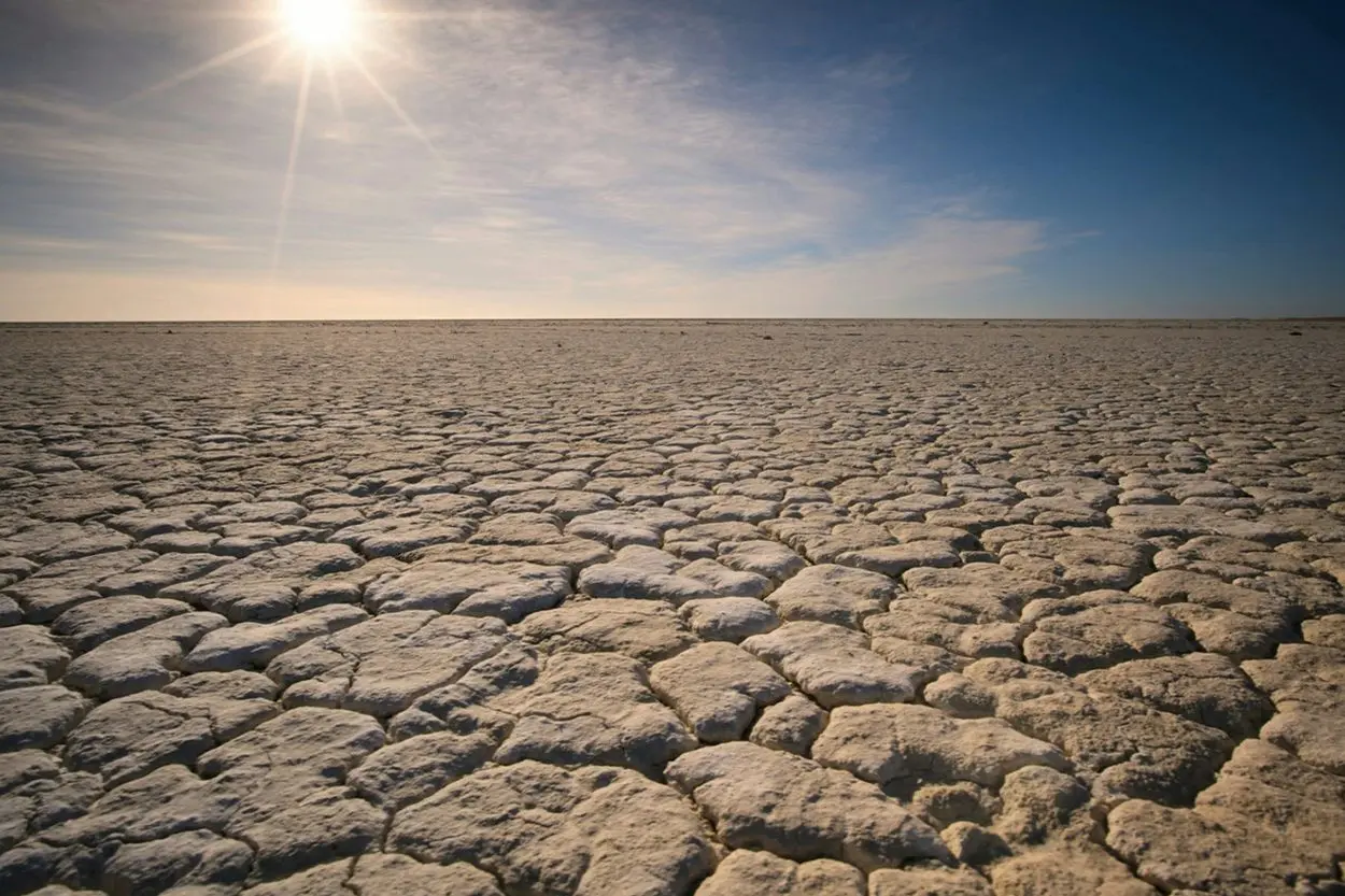 El cambio climático provoca una alerta mundial por el riesgo de sequía en las próximas décadas El cambio climático provoca una alerta mundial por el riesgo de sequía en las próximas décadas