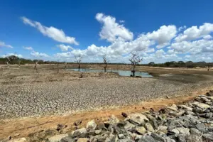 Expertos advierten que el cambio climático intensifica la sequía global y la escasez de agua