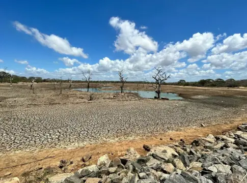 Expertos advierten que el cambio climático intensifica la sequía global y la escasez de agua Expertos advierten que el cambio climático intensifica la sequía global y la escasez de agua