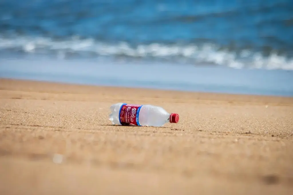 Innovación científica: crean un plástico que se descompone en tiempo récord sin dejar restos tóxicos