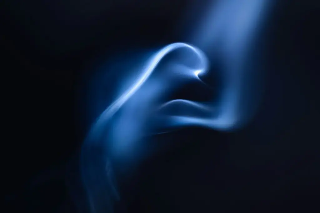 Los avances en neurociencia y física reabren el debate sobre el alma humana desde un enfoque experimental