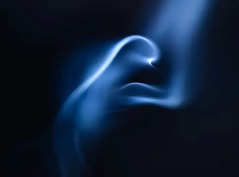 Los avances en neurociencia y física reabren el debate sobre el alma humana desde un enfoque experimental Los avances en neurociencia y física reabren el debate sobre el alma humana desde un enfoque experimental