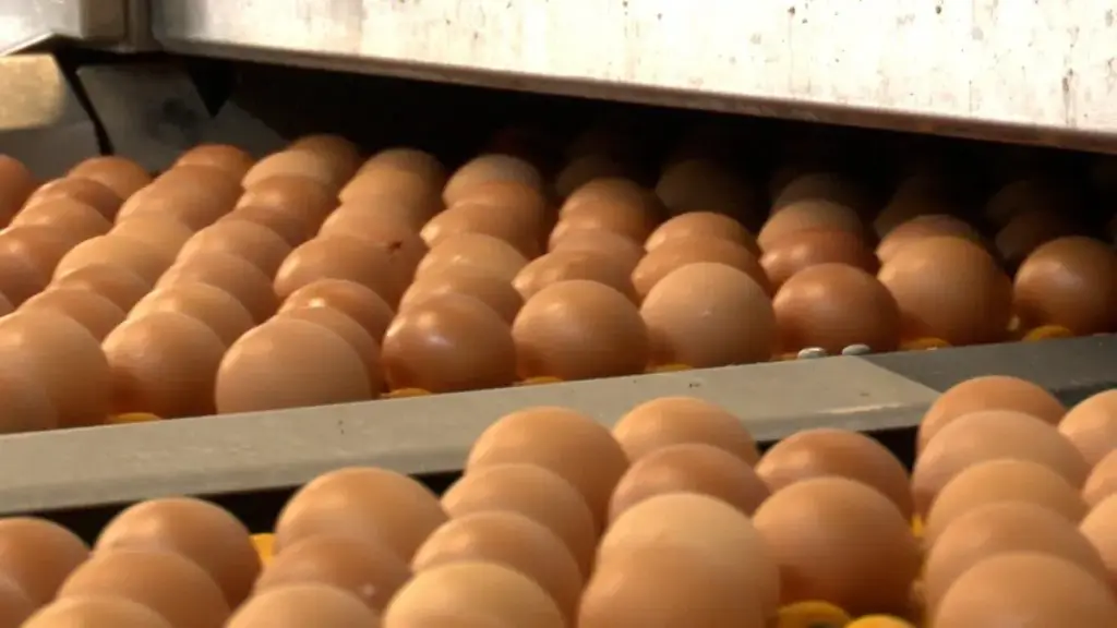 Los huevos siguen al alza: casi un 40% más en un año