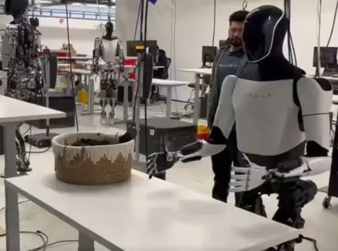 Los nuevos robots con IA de Elon Musk para decir adiós a los cuidadores humanos Los nuevos robots con IA de Elon Musk para decir adiós a los cuidadores humanos