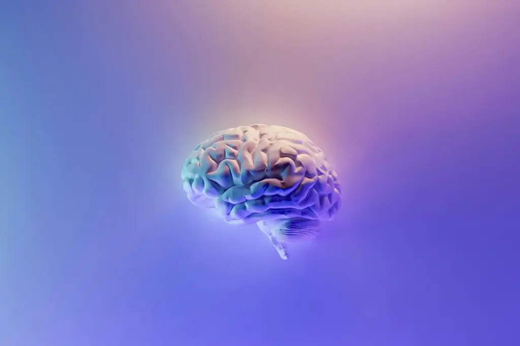 Luis Quevedo explica cómo el uso que haces de tu cerebro influye en la velocidad a la que envejece