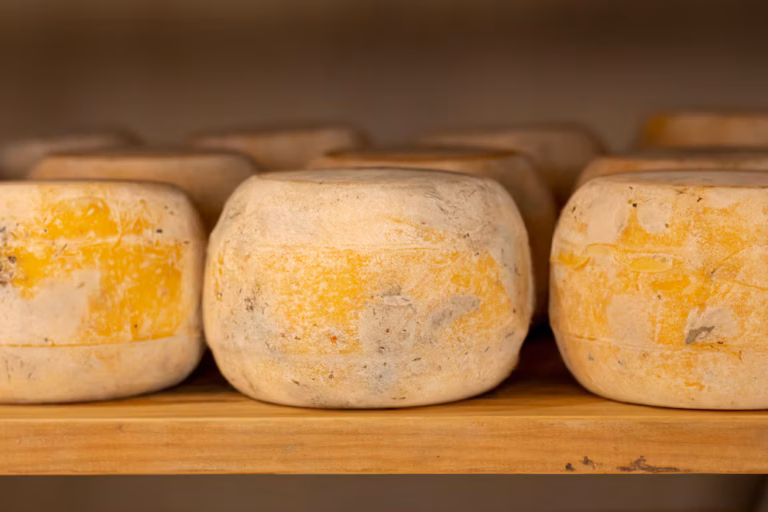 El queso que se movía solo: La historia del casu marzu prohibido en Europa