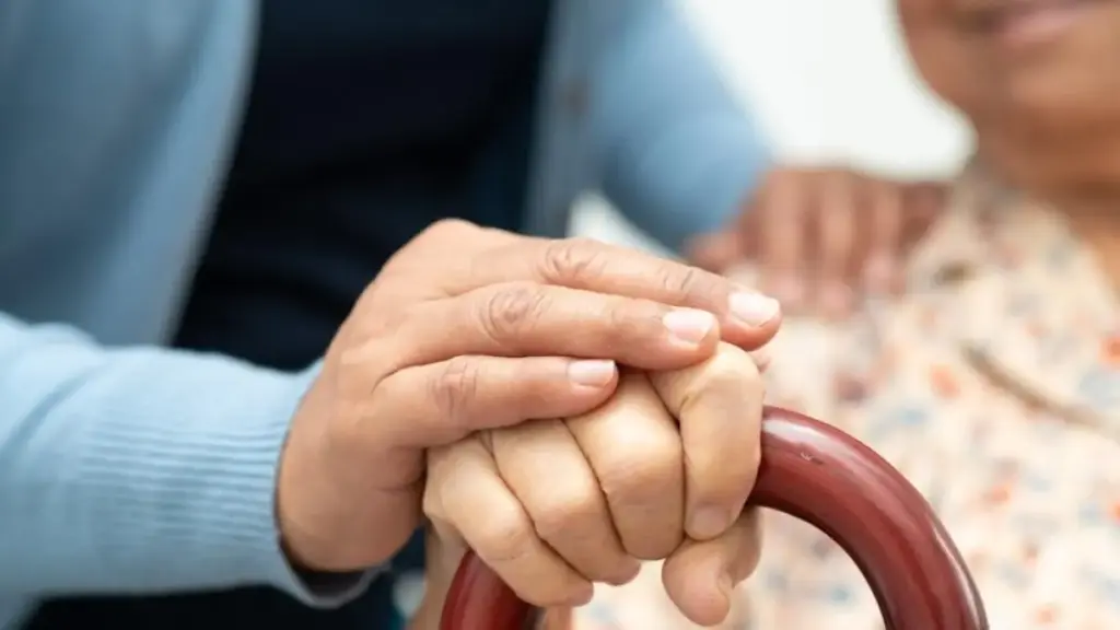 La paradoja de los cuidadores España: los necesita como el comer, pero el mercado laboral los castiga 3 El empleo del futuro que no estamos cuidando