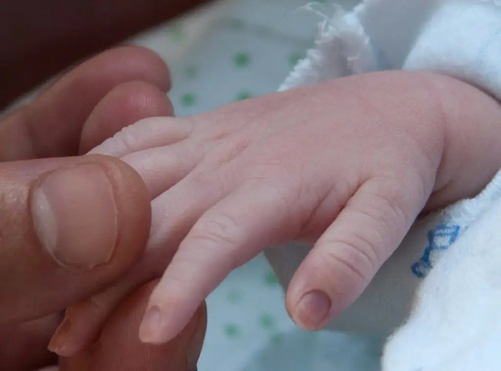 El primer año: gastos constantes que no desaparecen