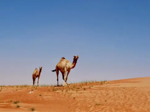 Enterrar reservas de agua bajo el desierto se convierte en la gran apuesta de Emiratos Árabes para protegerse de la escasez hídrica Enterrar reservas de agua bajo el desierto se convierte en la gran apuesta de Emiratos Árabes para protegerse de la escasez hídrica