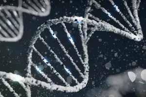 El secreto genético de Denisova: el ADN antiguo revela cómo sobrevivieron los primeros humanos a las alturas del Tíbet