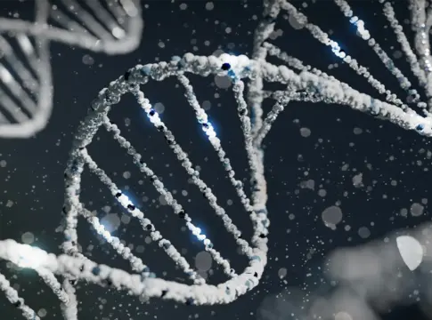 El secreto genético de Denisova: el ADN antiguo revela cómo sobrevivieron los primeros humanos a las alturas del Tíbet El secreto genético de Denisova: el ADN antiguo revela cómo sobrevivieron los primeros humanos a las alturas del Tíbet