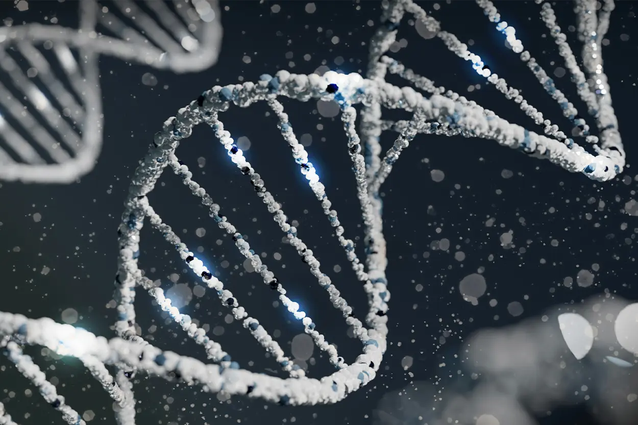 El secreto genético de Denisova: el ADN antiguo revela cómo sobrevivieron los primeros humanos a las alturas del Tíbet El secreto genético de Denisova: el ADN antiguo revela cómo sobrevivieron los primeros humanos a las alturas del Tíbet