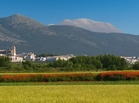 El pequeño pueblo español que le declaró la guerra a Dinamarca: olvidaron firmar la paz durante 172 años El pequeño pueblo español que le declaró la guerra a Dinamarca: olvidaron firmar la paz durante 172 años
