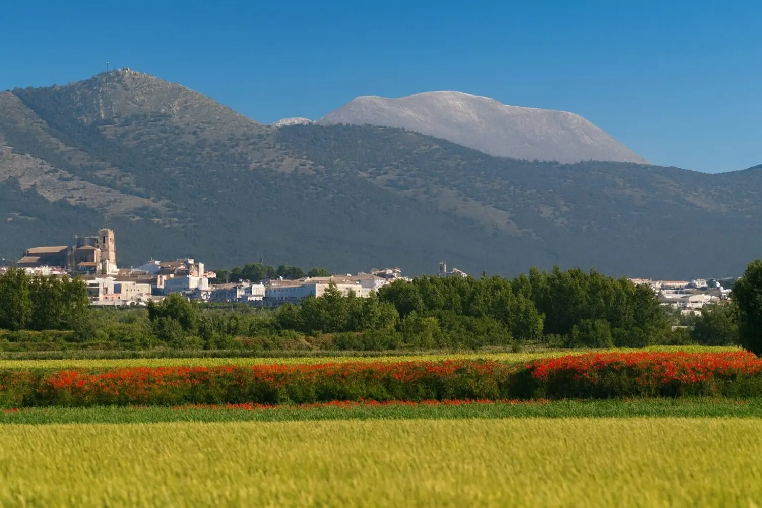 El pequeño pueblo español que le declaró la guerra a Dinamarca: olvidaron firmar la paz durante 172 años El pequeño pueblo español que le declaró la guerra a Dinamarca: olvidaron firmar la paz durante 172 años