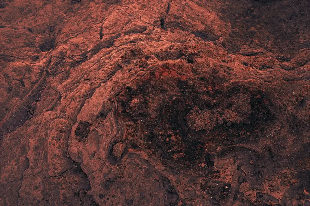 Cuevas complejas en Marte: el nuevo mapa de la NASA que revela un submundo marciano 1 Nuevas exploraciones de la NASA descubren un submundo marciano escondido bajo la superficie del planeta rojo