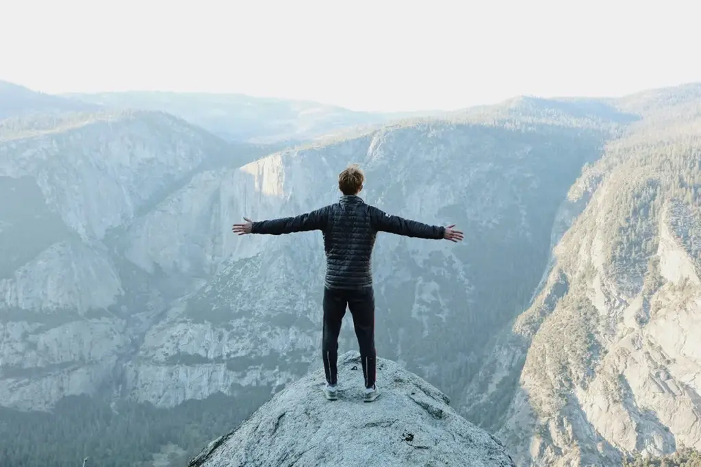 Según Zhuang Zi, la vida del árbol torcido simboliza una existencia libre, frente al destino utilitario del árbol recto