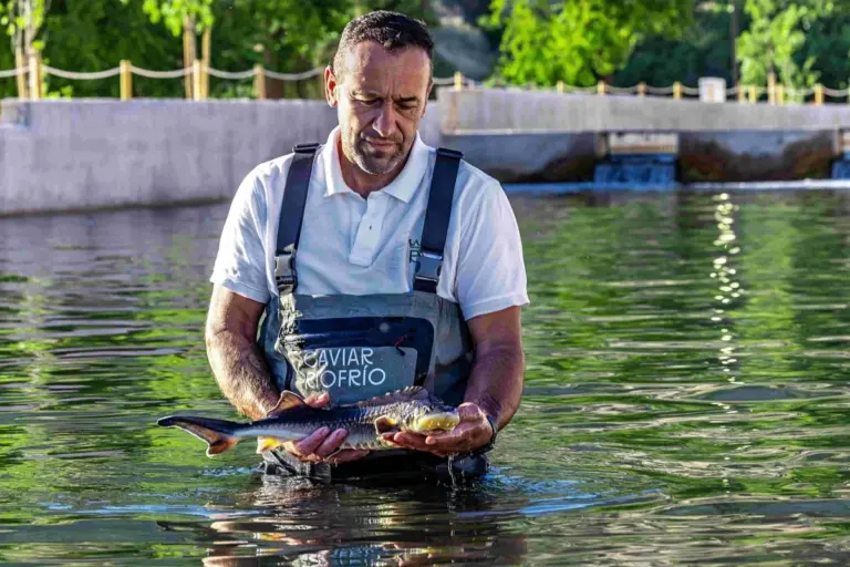 Riofrío, de cerca y en Granada, permite visitar la producción del primer caviar ecológico del mundo