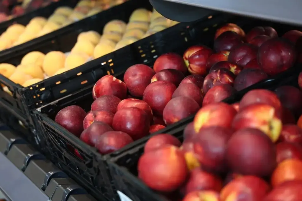 El campo español tiembla con la 'invasión' de fruta barata que viene de Sudamérica y cambiará tu cesta de la compra 24 El aguacate es el mejor ejemplo de lo que está pasando