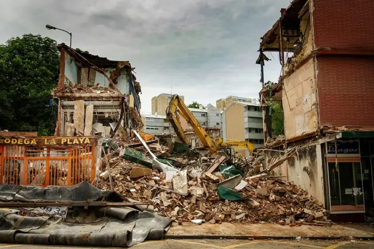Rescates de animales en la tragedia de Venezuela: un rayo de esperanza entre los escombros